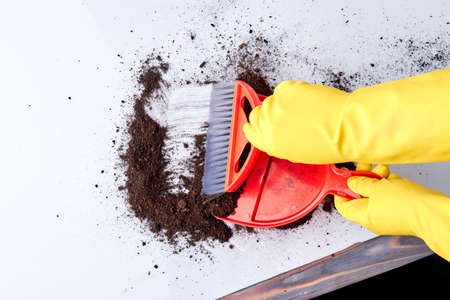 Person in gloves sweeping floor with dustpan and broom. Cleaning service concept.の写真素材