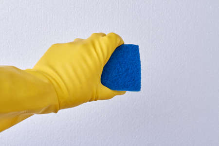 Hand in glove holding cleaning sponge. Cleaning and housekeeping concept.の写真素材