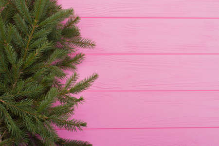 Left border of fresh spruce branches. Christmas natural background. Winter holiday decor.