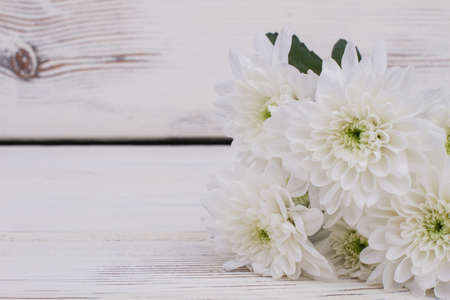 White chrysanthemum flowers and copy space. Bunch of fresh flowers on wooden background. Holiday greeting card.の写真素材