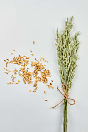 Oat flakes and green oat ears. Oatmeal flakes and oat spikelets on white background.の写真素材
