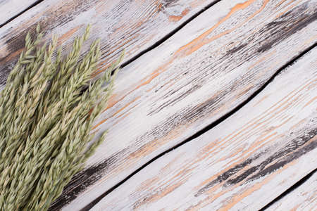 Cereal ears and copy space. Wheat ears on rustic wooden background. Space for text.