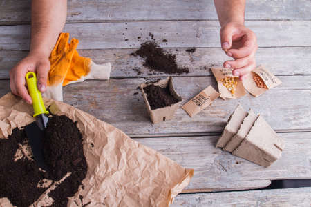 Potting soil for plants. Seeding pot using black soil, old wood background.