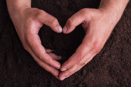 Male hands make heart form above ground soil. Love symbol sign, close-up.の写真素材