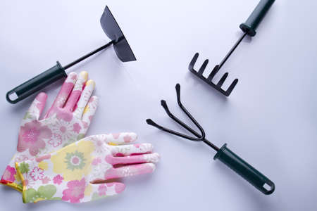 Gardener's tools isolated of white flat lay. Colorful protective gloves, trowel, and rakes.の写真素材