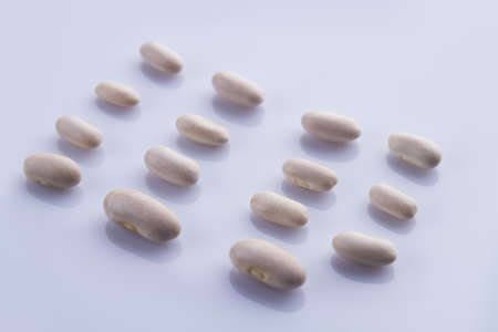 Disposed rows of white beans. Bright isolated background.の写真素材