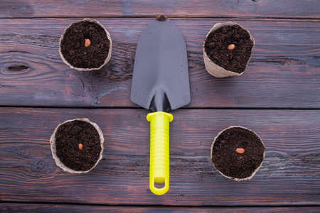 Trowel and seeded pot plants with beans. Gardeners working items, top view.の写真素材