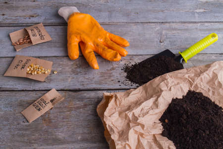 Seeding items with seends and soil. Gardening glove, trowel, soil and seeds on wooden background.