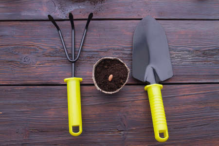 Tools for gardening and seeded fibre pot. Dark wooden background.の写真素材