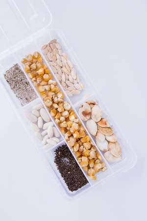 White plastic seed box container with grain seeds. Top view. Isolated on white background.
