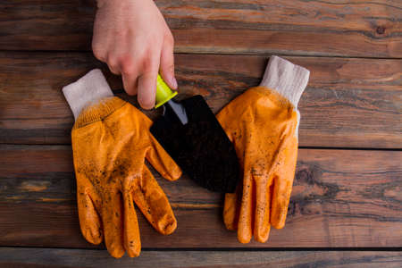 Man holds black garden shovel. Stained pair of worker's gloves. Old wood background. Top view, flat...