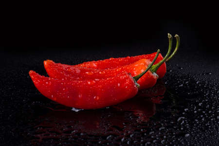 Hot red peppers with tails. Seductive capsicums in the darkness. Fodd concept.