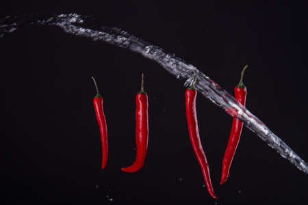 Four peppers with stream of water. Splash of emotions. Food concept.の写真素材