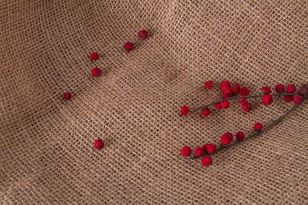 Red dry berries on a twig. Decorative sprig on canvas close up. Design concept.