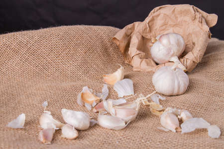 Garlic cloves and bulbs on vintage burlap cloth. Natural organic garlic on hessian fabric. Healthy food ingredient.の写真素材