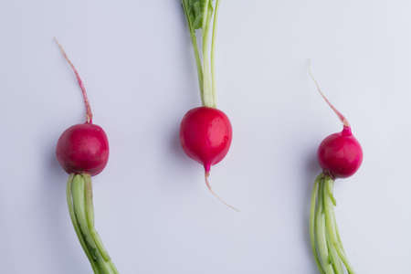 Three ripe red radishes. Isolated on white background.の写真素材
