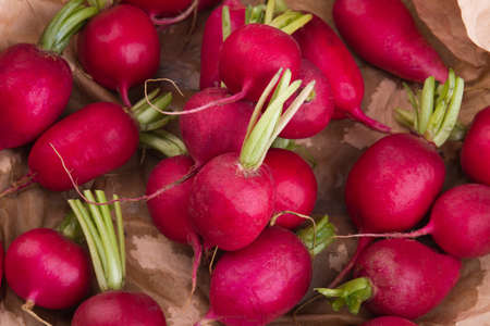 Pile of red ripe radishes, close-up. Heap of fresh clean raw vegetables ready for cooking.の写真素材