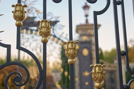 Close up decorative park gate lattice. Ornamental golden details.の写真素材