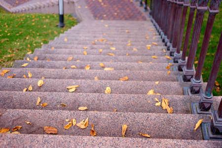 Granit stairs with fallen autumnal leaves. Look downstairs.