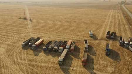 Top view of grain trucks on the field. Summer wheat field with heavy machinery. Agribusiness...
