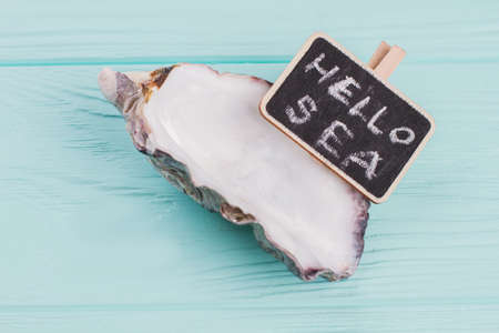 Small seashell with chalkboard on blue desk. Hello sea written on chalkboard.の写真素材
