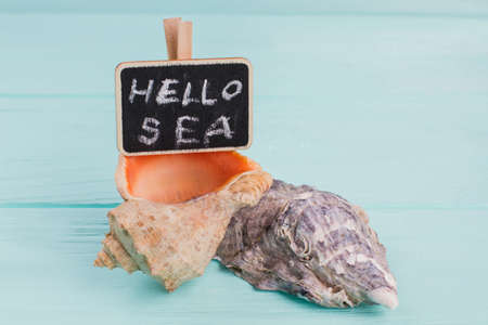 Two seashells lie on blue wooden desk. Hello sea written on nameplate.の写真素材
