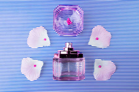 Composition of bottle of perfume with flower petals. Striped white and blue background.の写真素材