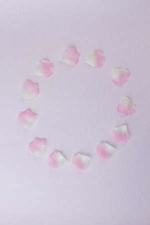 Pink petals arranged in a circle. Copy space on a white background.の写真素材