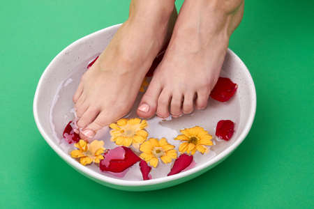 Womans taking aroma feet bath. Close-up female feet dipping into bowl with petals. Isolated on green background.の写真素材