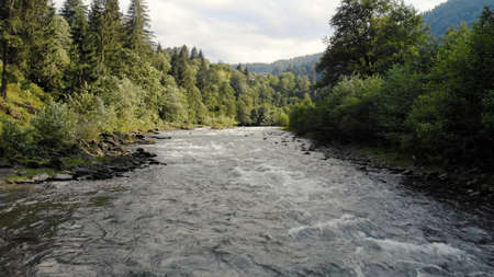 River bushes and trees under a cloudy sky. A river surrounded by trees with a mountain and forest on the horizon.の写真素材