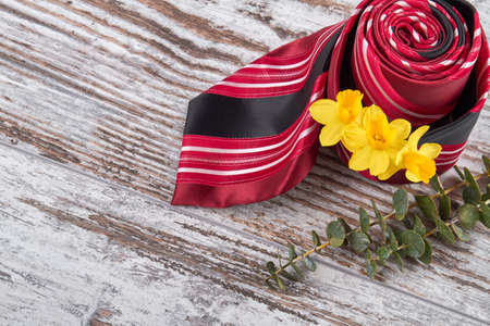 Rolled red tie with yellow flowers. Top view springtime composition. White wooden background.の写真素材