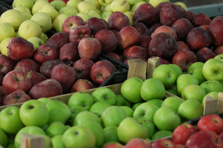 Organic fruits at market stall. Assorted apples at farmers market. Food farming concept.