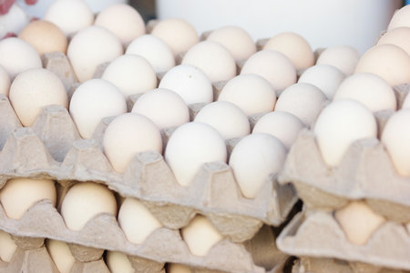 Chicken eggs in cardboard egg crate. Domestic chicken eggs close up. Organic food concept.の写真素材