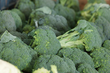 Fresh broccoli background. Organic vegetables close up. Healthy food concept.の写真素材