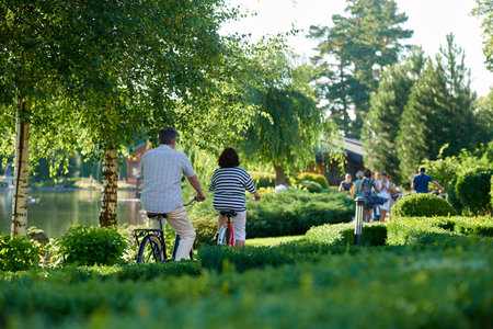 Back view mature couple cycling in the summer park. Man and woman on bikes.の写真素材