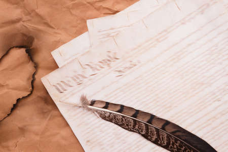 Old historical script writing and quill feather. Top view ancient caligraphy concept.の写真素材
