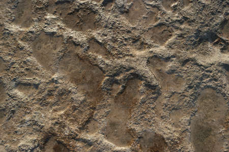 Iron deposits on the surface at Pamukkale travertines. Natural calcium deposits from thermal...