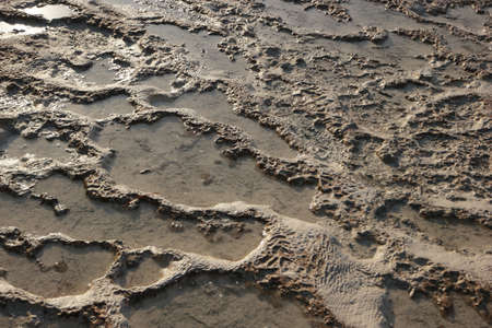 Detail of travertine thermal springs. Natural limestone formations. Pamukkale, Turkey.
