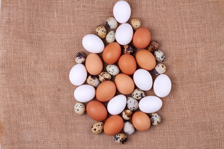 Top view collection of chicken and quail eggs.の写真素材