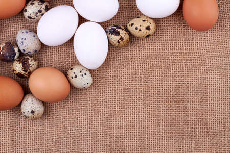 Top view chicken with quail eggs on a jute sack.の写真素材