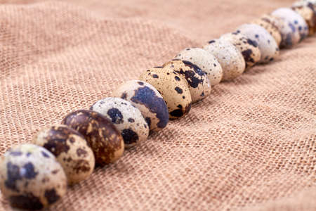 Close up row of small eggs.