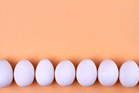 White eggs line and copy space.の写真素材