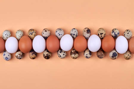 Centipede made of chicken and quail eggs.の写真素材