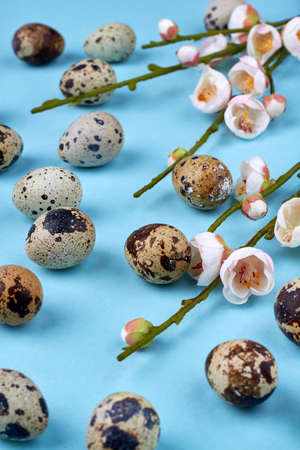 Still life composition of quail eggs and spring flowers.