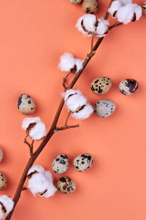 Spring blossoming and easter concept.の写真素材