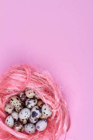 Vertical shot of pink quail nest.の写真素材