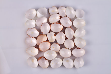 Top view hen shells on white surface.