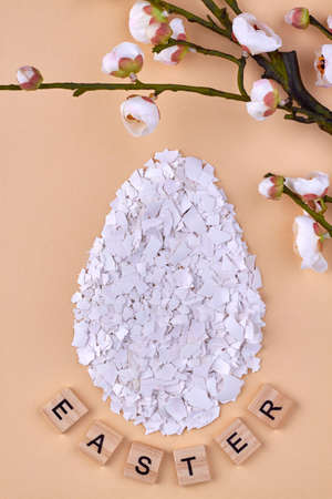 Eggshell shards and flower on beige background.