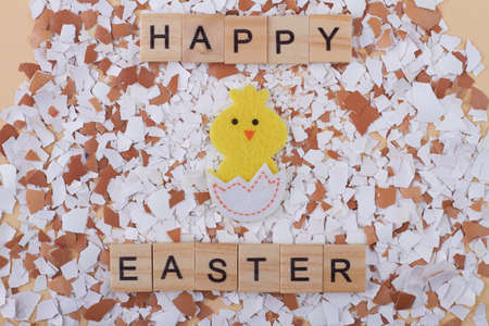 Hatched chick and pile of eggshells flat lay.の写真素材