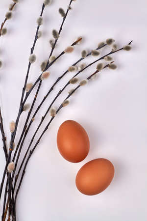 Two chicken eggs and easter willow branch.の写真素材